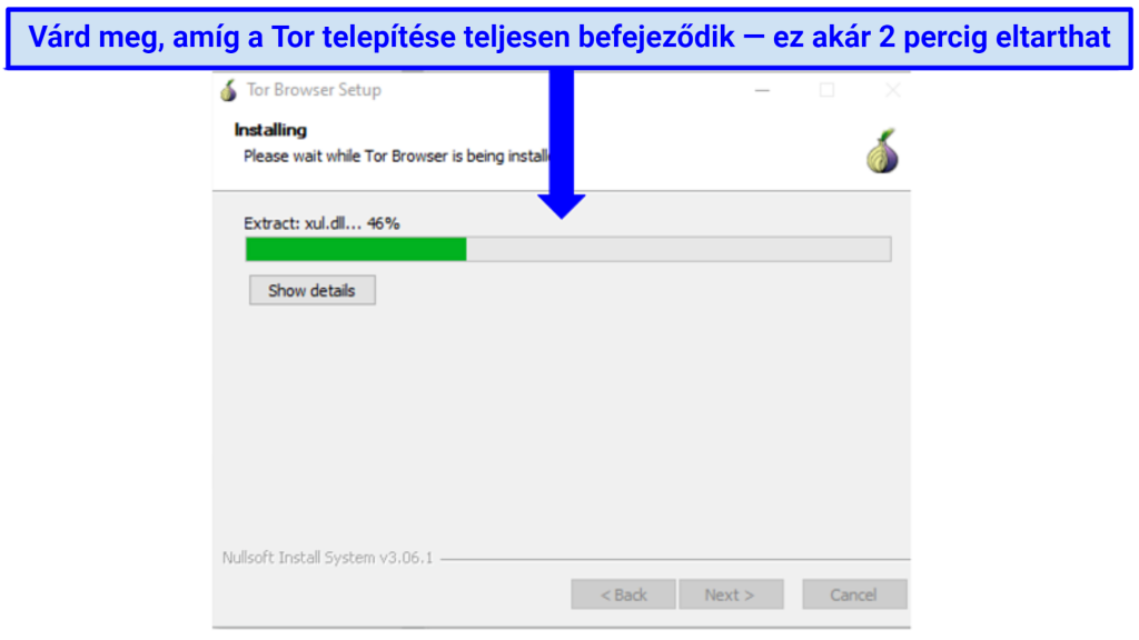 Screenshot showing the download status bar on the Tor Browser installer