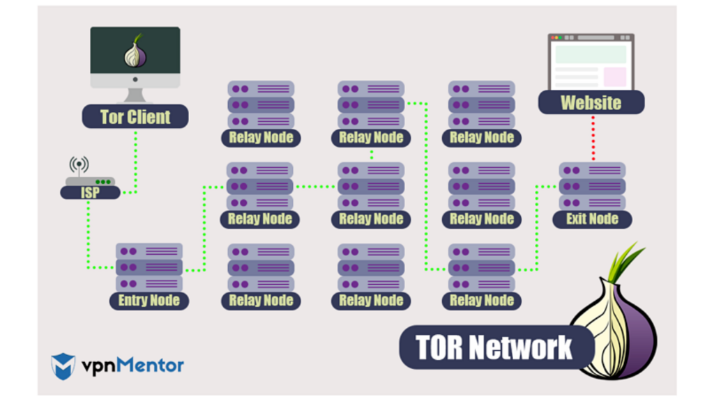 Image showing how your data travels through the Tor Browser network