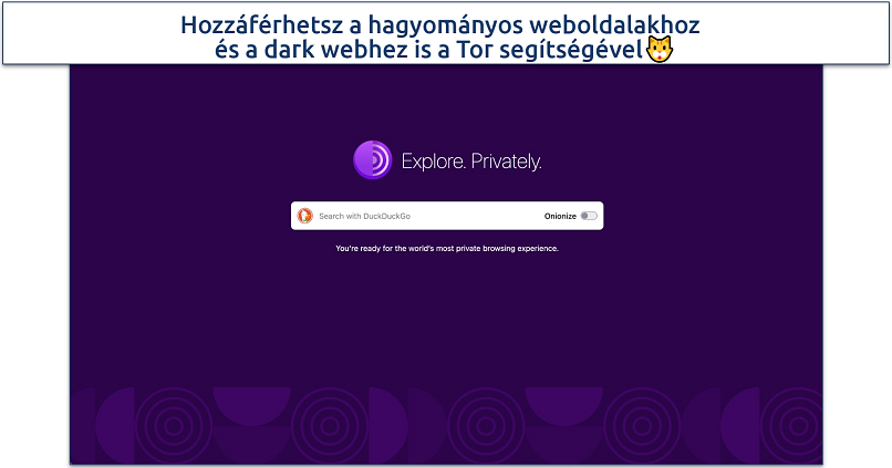 Screenshot of the Tor Browser homepage