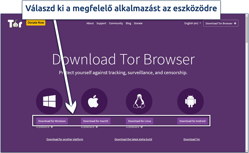 Screenshots of the Tor Browser download page on the website